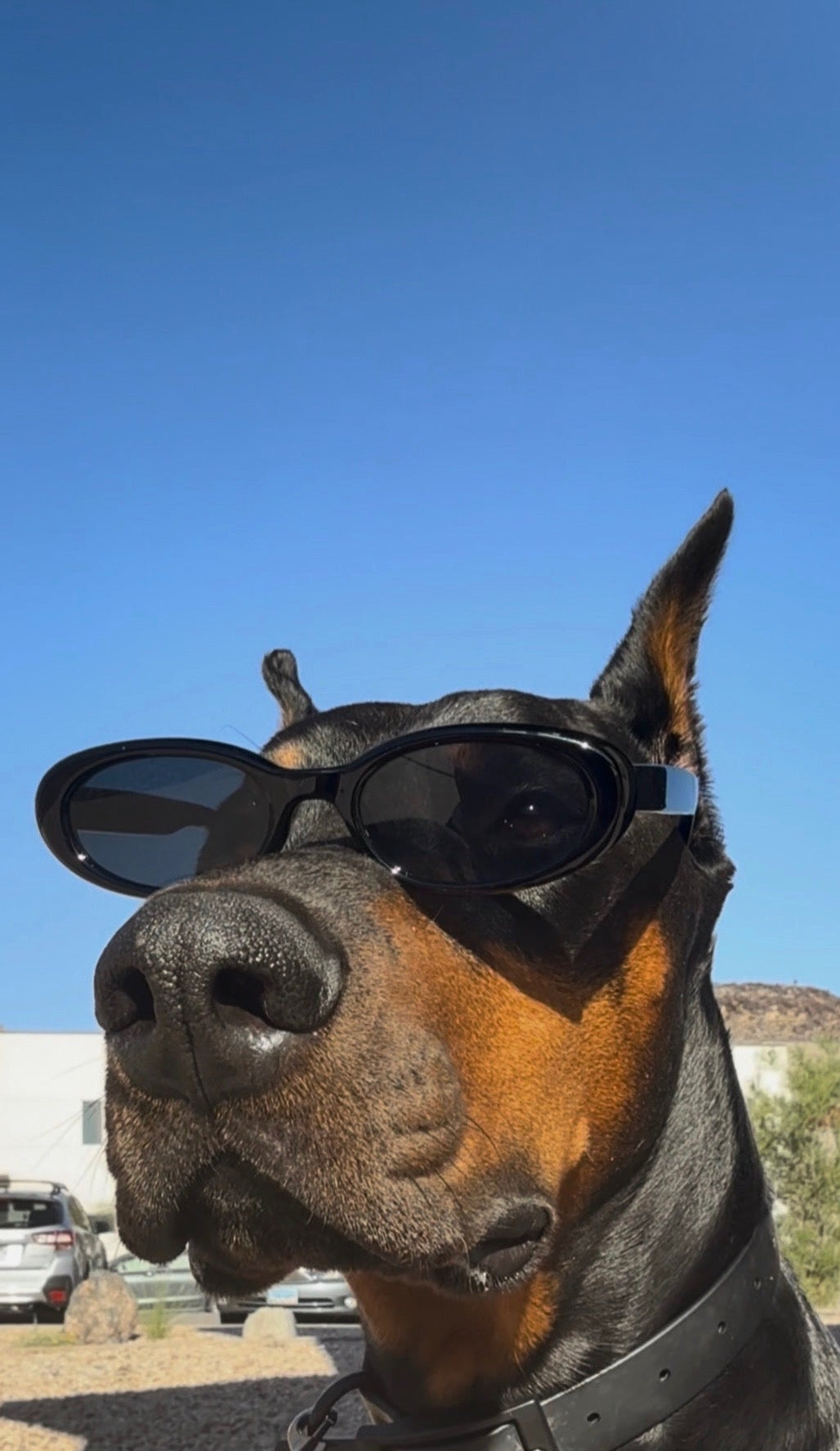 Drop 01: Classic Sunglasses | Shades of Rhae